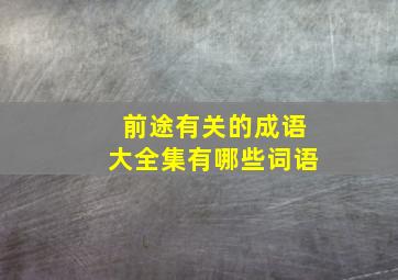 前途有关的成语大全集有哪些词语