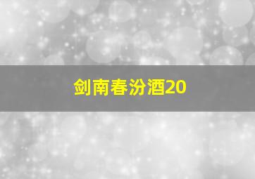 剑南春汾酒20