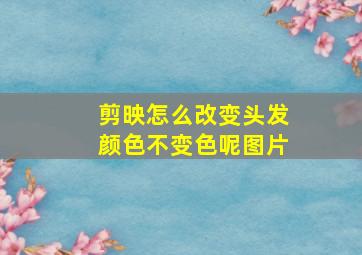 剪映怎么改变头发颜色不变色呢图片