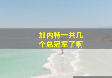 加内特一共几个总冠军了啊