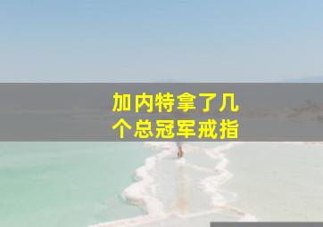 加内特拿了几个总冠军戒指