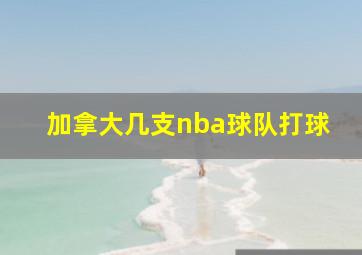 加拿大几支nba球队打球