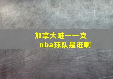 加拿大唯一一支nba球队是谁啊