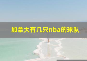 加拿大有几只nba的球队