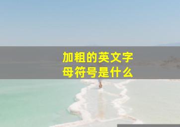 加粗的英文字母符号是什么