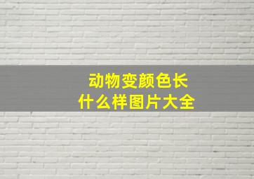 动物变颜色长什么样图片大全