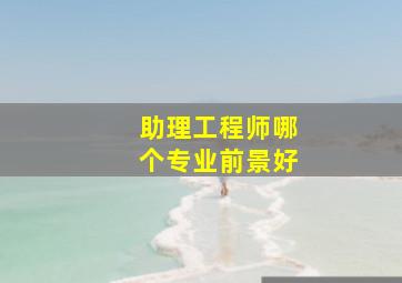 助理工程师哪个专业前景好