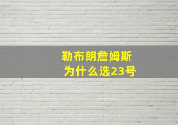 勒布朗詹姆斯为什么选23号