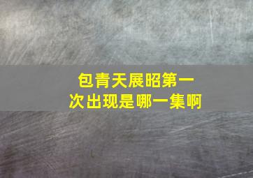 包青天展昭第一次出现是哪一集啊