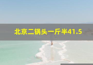 北京二锅头一斤半41.5