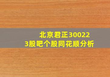 北京君正300223股吧个股同花顺分析