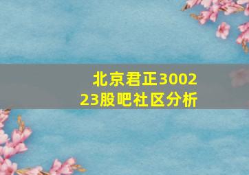 北京君正300223股吧社区分析