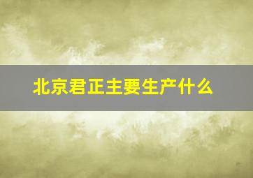 北京君正主要生产什么