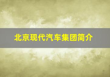 北京现代汽车集团简介