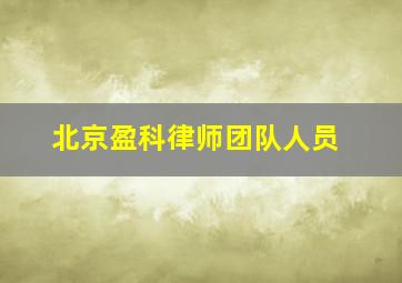 北京盈科律师团队人员