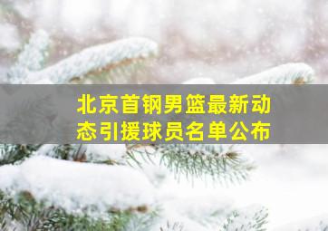 北京首钢男篮最新动态引援球员名单公布