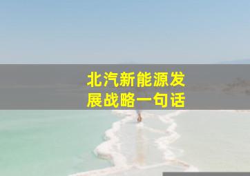 北汽新能源发展战略一句话