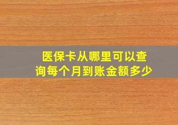 医保卡从哪里可以查询每个月到账金额多少