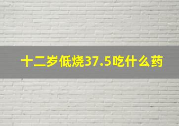 十二岁低烧37.5吃什么药