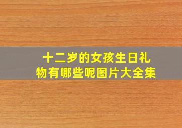 十二岁的女孩生日礼物有哪些呢图片大全集