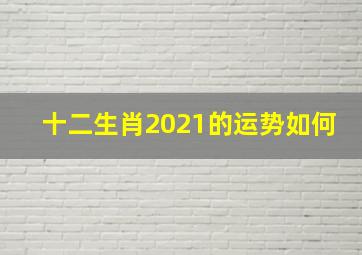 十二生肖2021的运势如何