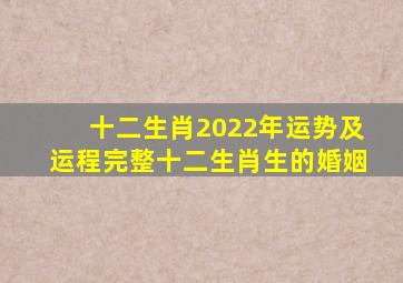 十二生肖2022年运势及运程完整十二生肖生的婚姻