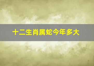 十二生肖属蛇今年多大