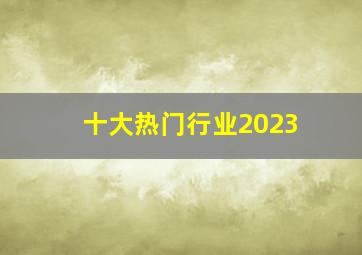 十大热门行业2023