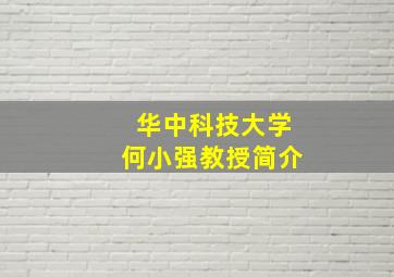 华中科技大学何小强教授简介