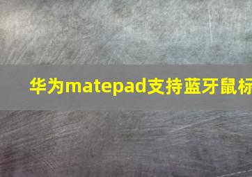 华为matepad支持蓝牙鼠标