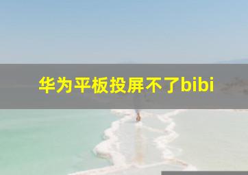 华为平板投屏不了bibi