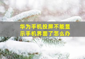 华为手机投屏不能显示手机界面了怎么办