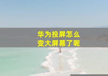 华为投屏怎么变大屏幕了呢