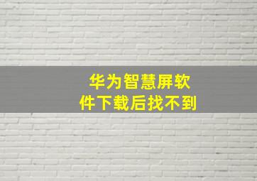 华为智慧屏软件下载后找不到