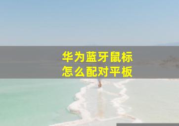 华为蓝牙鼠标怎么配对平板