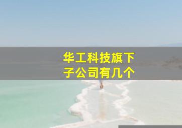 华工科技旗下子公司有几个