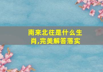 南来北往是什么生肖,完美解答落实