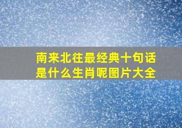 南来北往最经典十句话是什么生肖呢图片大全