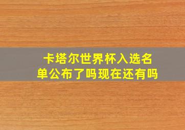 卡塔尔世界杯入选名单公布了吗现在还有吗