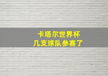 卡塔尔世界杯几支球队参赛了