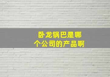 卧龙锅巴是哪个公司的产品啊