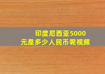 印度尼西亚5000元是多少人民币呢视频