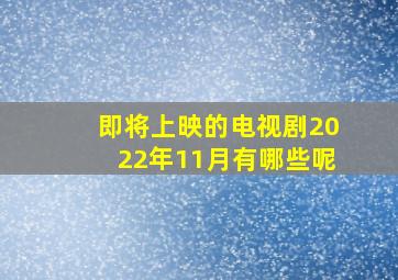 即将上映的电视剧2022年11月有哪些呢