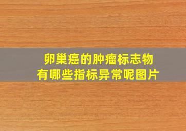 卵巢癌的肿瘤标志物有哪些指标异常呢图片