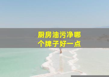 厨房油污净哪个牌子好一点