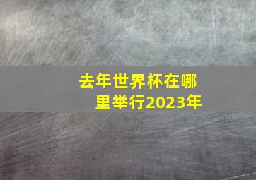 去年世界杯在哪里举行2023年