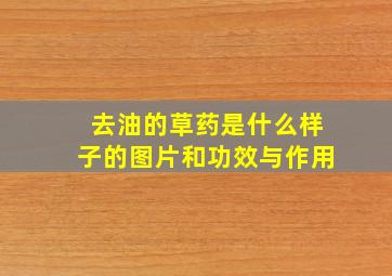 去油的草药是什么样子的图片和功效与作用