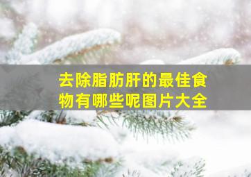 去除脂肪肝的最佳食物有哪些呢图片大全