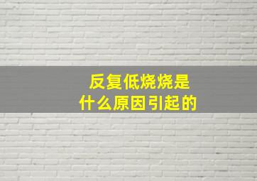 反复低烧烧是什么原因引起的