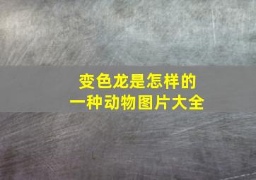 变色龙是怎样的一种动物图片大全